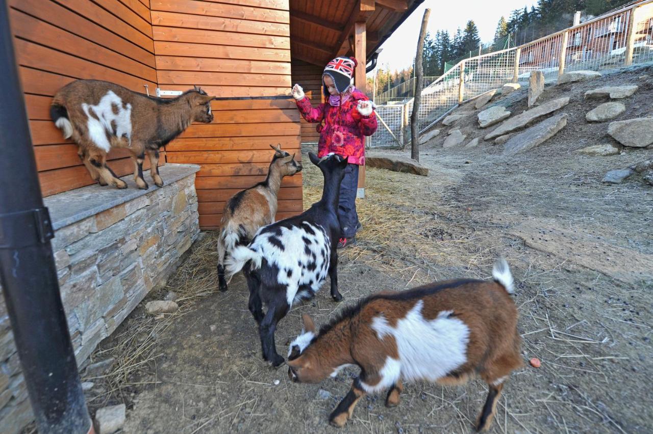 Vetrnik Depandance Hotelu Jirinka Dolní Morava Esterno foto